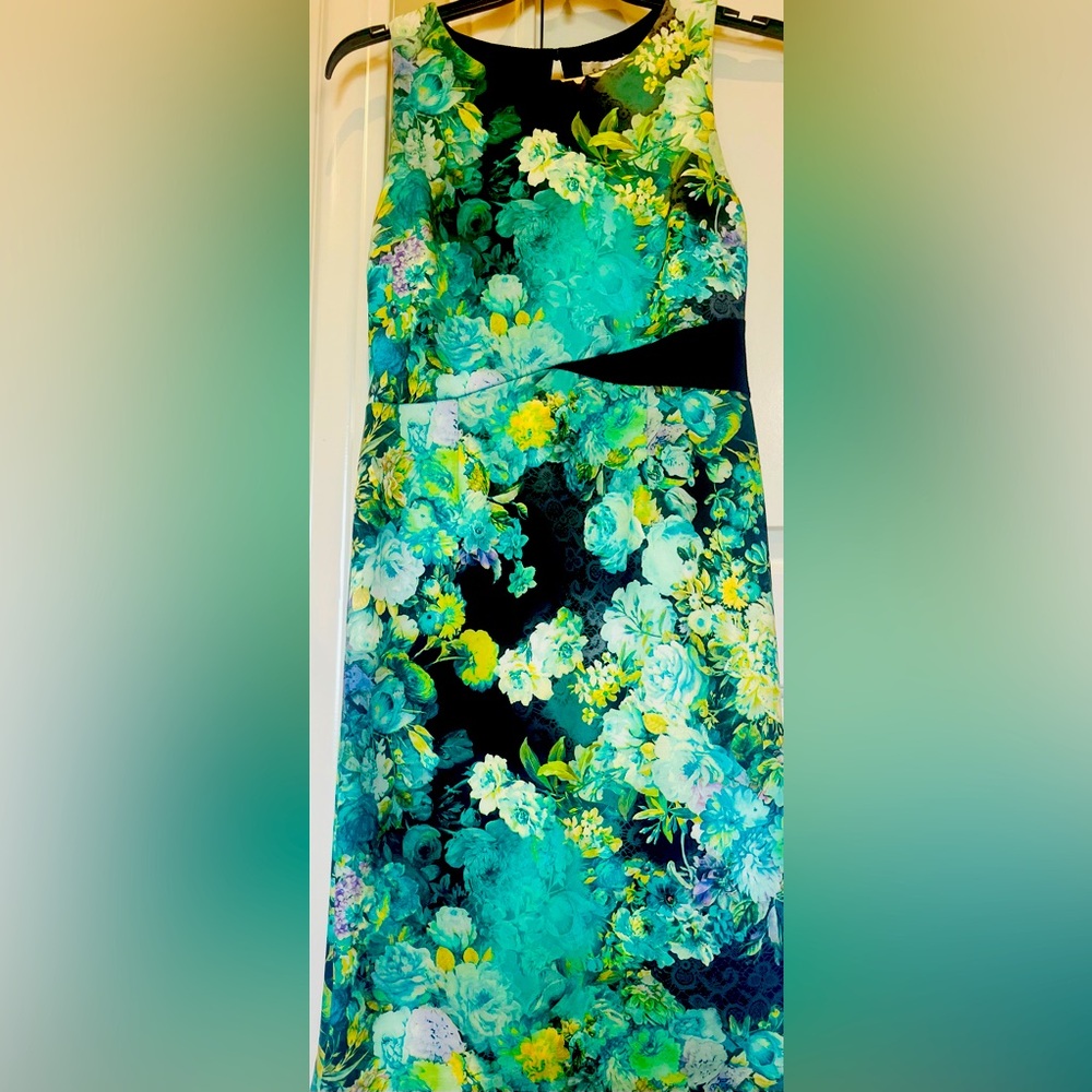Spring/Summer Dress